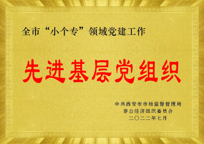 先进基层党组织