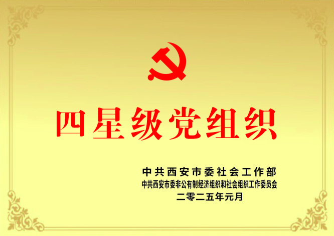 四星级党组织