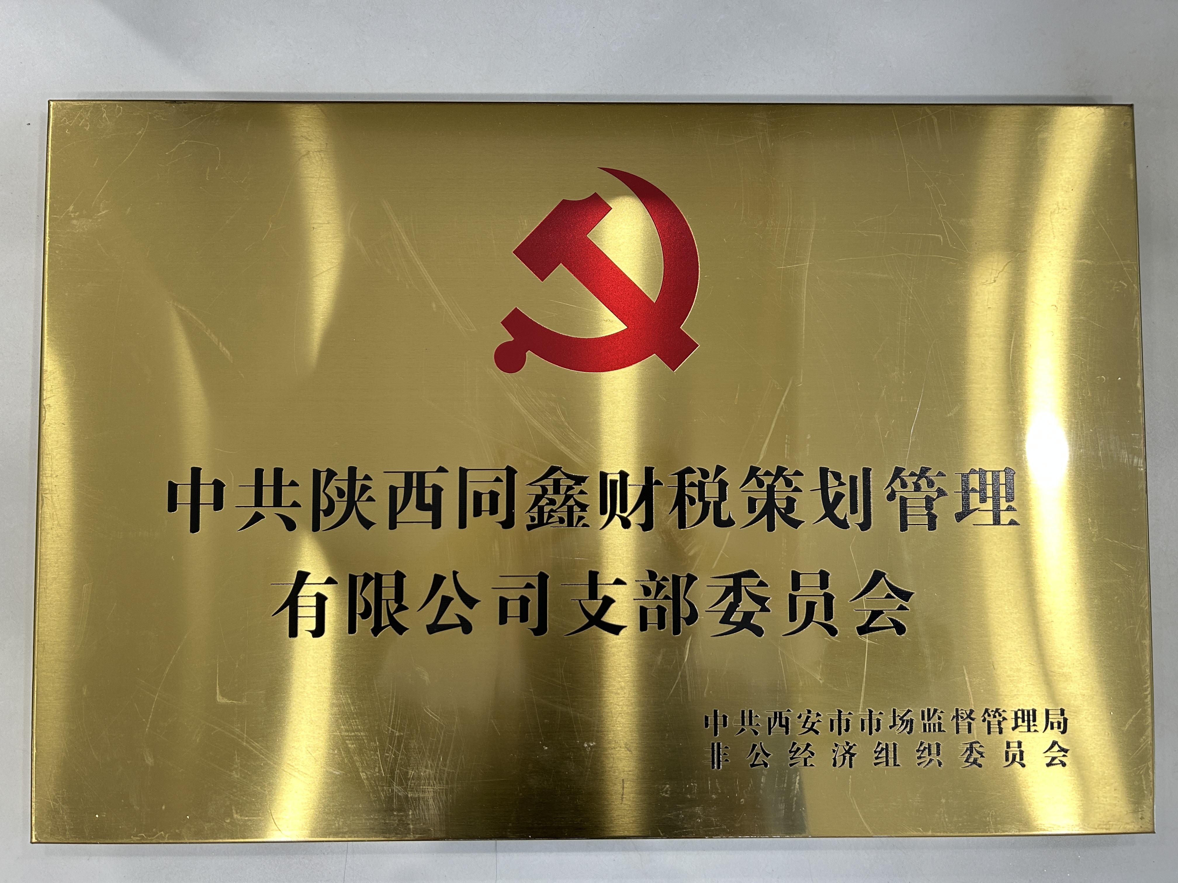 中共陕西同鑫财税策划管理有限公司支部委员会